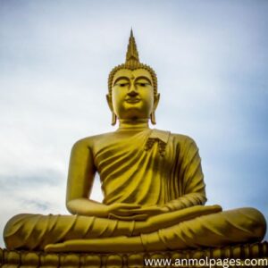 Precious Words Buddha Quotes in Hindi