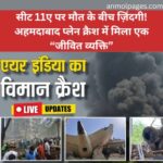 Seat 11A Ahmedabad Plane Crash