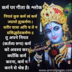 कर्म पर गीता के श्लोक
